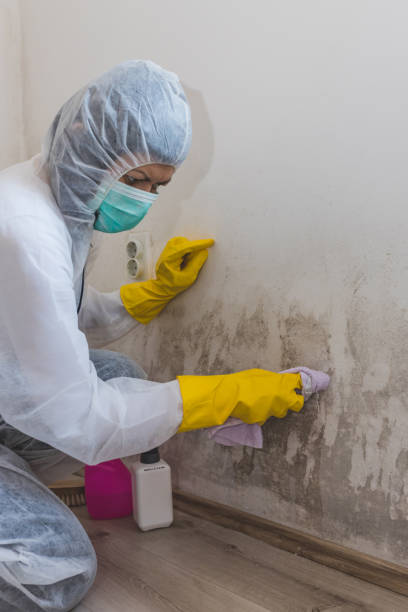 Best Forensic Mold Investigation  in Redfield, AR