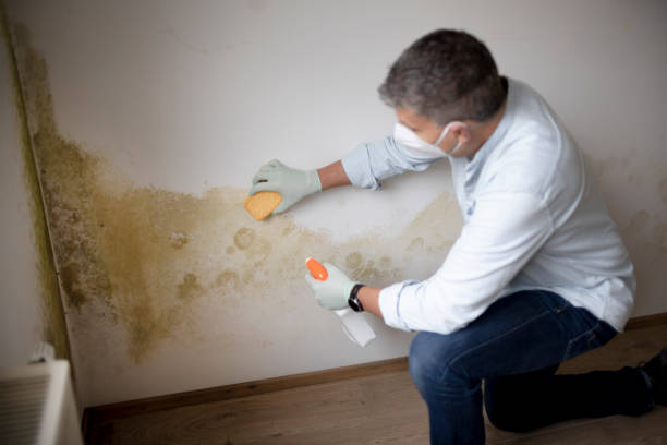 Best Crawl Space Mold Remediation  in Redfield, AR